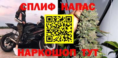 СК Пыть-Ях