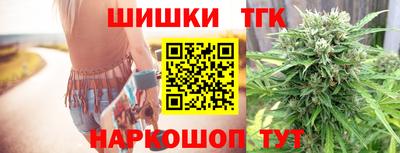 молекула духа Пугачёв